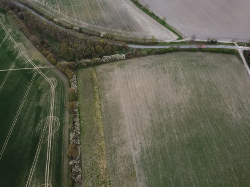 Disconnected by Design: The Federal Data Gap Costing American Agriculture Billions